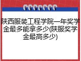 陕西服装工程学院一年奖学金最多能拿多少(陕服奖学金最高多少)