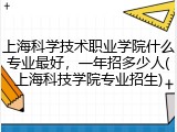 上海科学技术职业学院什么专业最好，一年招多少人(上海科技学院专业招生)