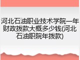 河北石油职业技术学院一年财政拨款大概多少钱(河北石油职院年拨款)