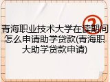 青海职业技术大学在读期间怎么申请助学贷款(青海职大助学贷款申请)