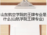 山东航空学院的王牌专业是什么(山航学院王牌专业)