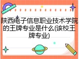 陕西电子信息职业技术学院的王牌专业是什么(该校王牌专业)