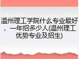 温州理工学院什么专业最好，一年招多少人(温州理工优势专业及招生)
