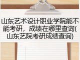 山东艺术设计职业学院能不能考研，成绩在哪里查询(山东艺院考研成绩查询)