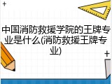 中国消防救援学院的王牌专业是什么(消防救援王牌专业)