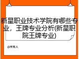 新星职业技术学院有哪些专业，王牌专业分析(新星职院王牌专业)