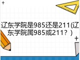 辽东学院是985还是211(辽东学院属985或211？)