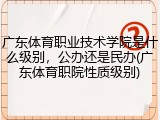 广东体育职业技术学院是什么级别，公办还是民办(广东体育职院性质级别)
