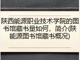 陕西能源职业技术学院的图书馆藏书量如何，简介(陕能源图书馆藏书概况)