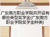 广东南方职业学院共开设有哪些类型奖学金(广东南方职业学院奖学金种类)