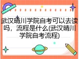 武汉晴川学院自考可以去读吗，流程是什么(武汉晴川学院自考流程)
