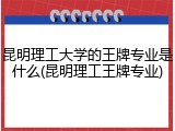 昆明理工大学的王牌专业是什么(昆明理工王牌专业)
