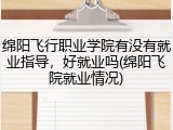 绵阳飞行职业学院有没有就业指导，好就业吗(绵阳飞院就业情况)