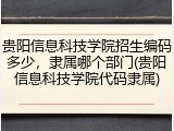 贵阳信息科技学院招生编码多少，隶属哪个部门(贵阳信息科技学院代码隶属)