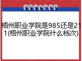 梧州职业学院是985还是211(梧州职业学院什么档次)