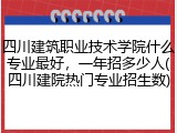 四川建筑职业技术学院什么专业最好，一年招多少人(四川建院热门专业招生数)