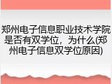 郑州电子信息职业技术学院是否有双学位，为什么(郑州电子信息双学位原因)