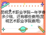 昆明艺术职业学院一年学费多少钱，还有哪些费用(昆明艺术职业学院费用)