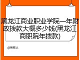黑龙江商业职业学院一年财政拨款大概多少钱(黑龙江商职院年拨款)