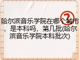 哈尔滨音乐学院在哪个城市，是本科吗，第几批(哈尔滨音乐学院本科批次)
