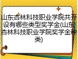 山东杏林科技职业学院共开设有哪些类型奖学金(山东杏林科技职业学院奖学金种类)