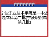 宁波职业技术学院是一本还是本科第二批(宁波职院属第几批)