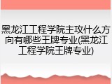 黑龙江工程学院主攻什么方向有哪些王牌专业(黑龙江工程学院王牌专业)