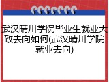 武汉晴川学院毕业生就业大致去向如何(武汉晴川学院就业去向)
