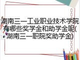 湖南三一工业职业技术学院有哪些奖学金和助学金呢(湖南三一职院奖助学金)