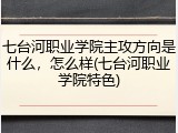 七台河职业学院主攻方向是什么，怎么样(七台河职业学院特色)