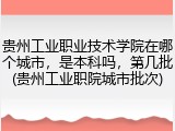 贵州工业职业技术学院在哪个城市，是本科吗，第几批(贵州工业职院城市批次)