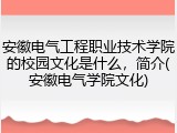 安徽电气工程职业技术学院的校园文化是什么，简介(安徽电气学院文化)