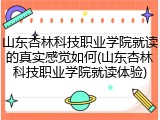 山东杏林科技职业学院就读的真实感觉如何(山东杏林科技职业学院就读体验)