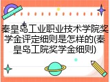 秦皇岛工业职业技术学院奖学金评定细则是怎样的(秦皇岛工院奖学金细则)