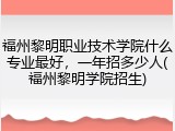 福州黎明职业技术学院什么专业最好，一年招多少人(福州黎明学院招生)
