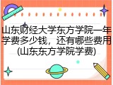 山东财经大学东方学院一年学费多少钱，还有哪些费用(山东东方学院学费)