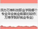 民办万博科技职业学院哪个专业毕业就业前景比较好(万博学院好就业专业)