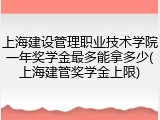 上海建设管理职业技术学院一年奖学金最多能拿多少(上海建管奖学金上限)