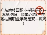 广东碧桂园职业学院是双一流高校吗，简单介绍(广东碧桂园职业学院是双一流吗)