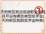 天府新区航空旅游职业学院共开设有哪些类型奖学金(天府新区航院奖学金种类)
