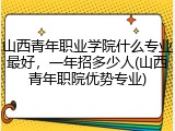 山西青年职业学院什么专业最好，一年招多少人(山西青年职院优势专业)