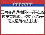 云南交通运输职业学院知名校友有哪些，校史介绍(云南交运院校友校史)