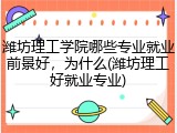 潍坊理工学院哪些专业就业前景好，为什么(潍坊理工好就业专业)