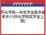 怀化学院一年奖学金最多能拿多少(怀化学院奖学金上限)