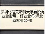 深圳北理莫斯科大学有没有就业指导，好就业吗(深北莫就业如何)