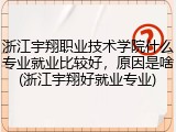 浙江宇翔职业技术学院什么专业就业比较好，原因是啥(浙江宇翔好就业专业)