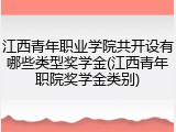 江西青年职业学院共开设有哪些类型奖学金(江西青年职院奖学金类别)
