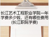 长江艺术工程职业学院一年学费多少钱，还有哪些费用(长江职院学费)