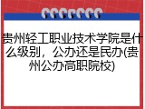 贵州轻工职业技术学院是什么级别，公办还是民办(贵州公办高职院校)