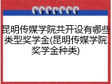 昆明传媒学院共开设有哪些类型奖学金(昆明传媒学院奖学金种类)